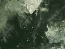 S039 夏雨墨---浪形 138x69cm 2009